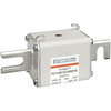 PHP-D300751